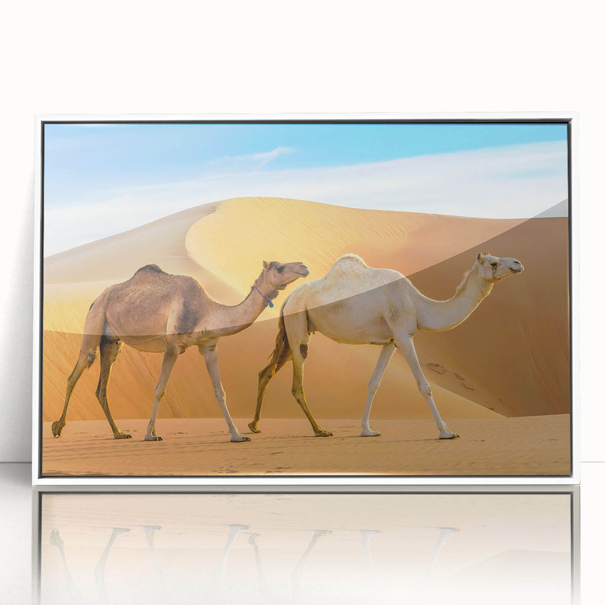 Framed acrylic wall art featuring a stylish camel design in a modern white frame, perfect for enhancing interior decor with a touch of wildlife elegance.