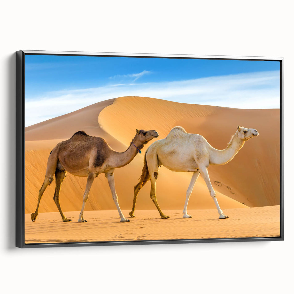 Framed canvas wall art showcasing a black and white side view of a camel, perfect for animal lovers and desert-themed decor, adding elegance to any room.