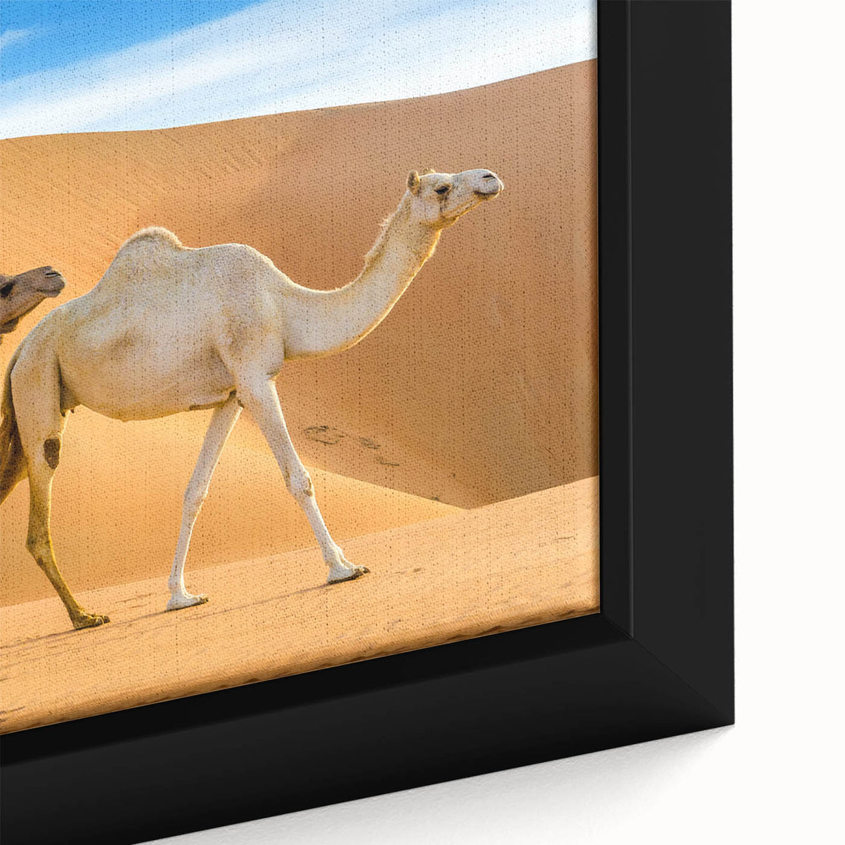 Close-up of a framed canvas wall art featuring a detailed design of a camel in a natural setting, showcasing earthy tones and intricate textures, ideal for wildlife enthusiasts.