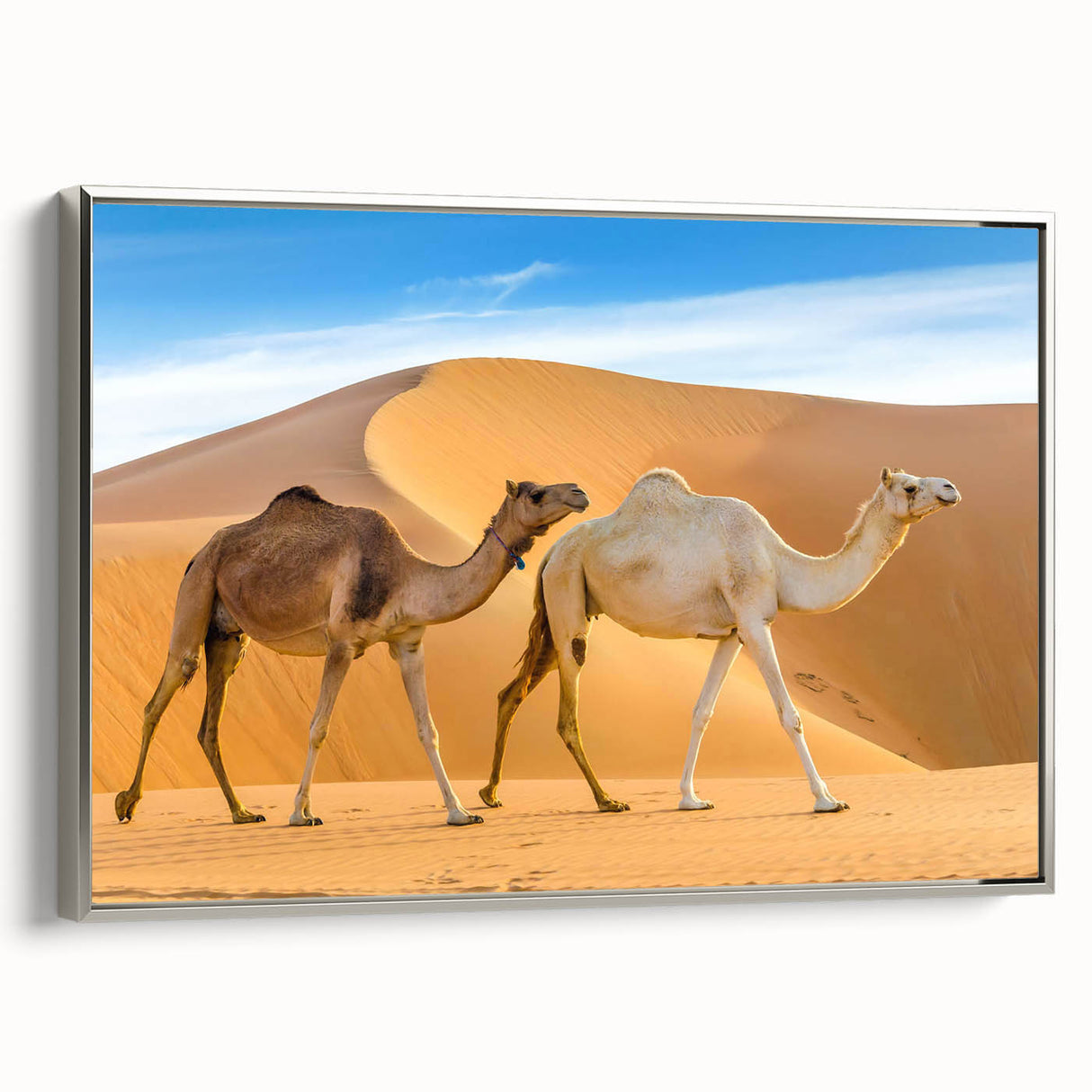 Framed wall art featuring a silver side view of a camel, showcasing detailed textures and vibrant colors, perfect for enhancing any modern living space.