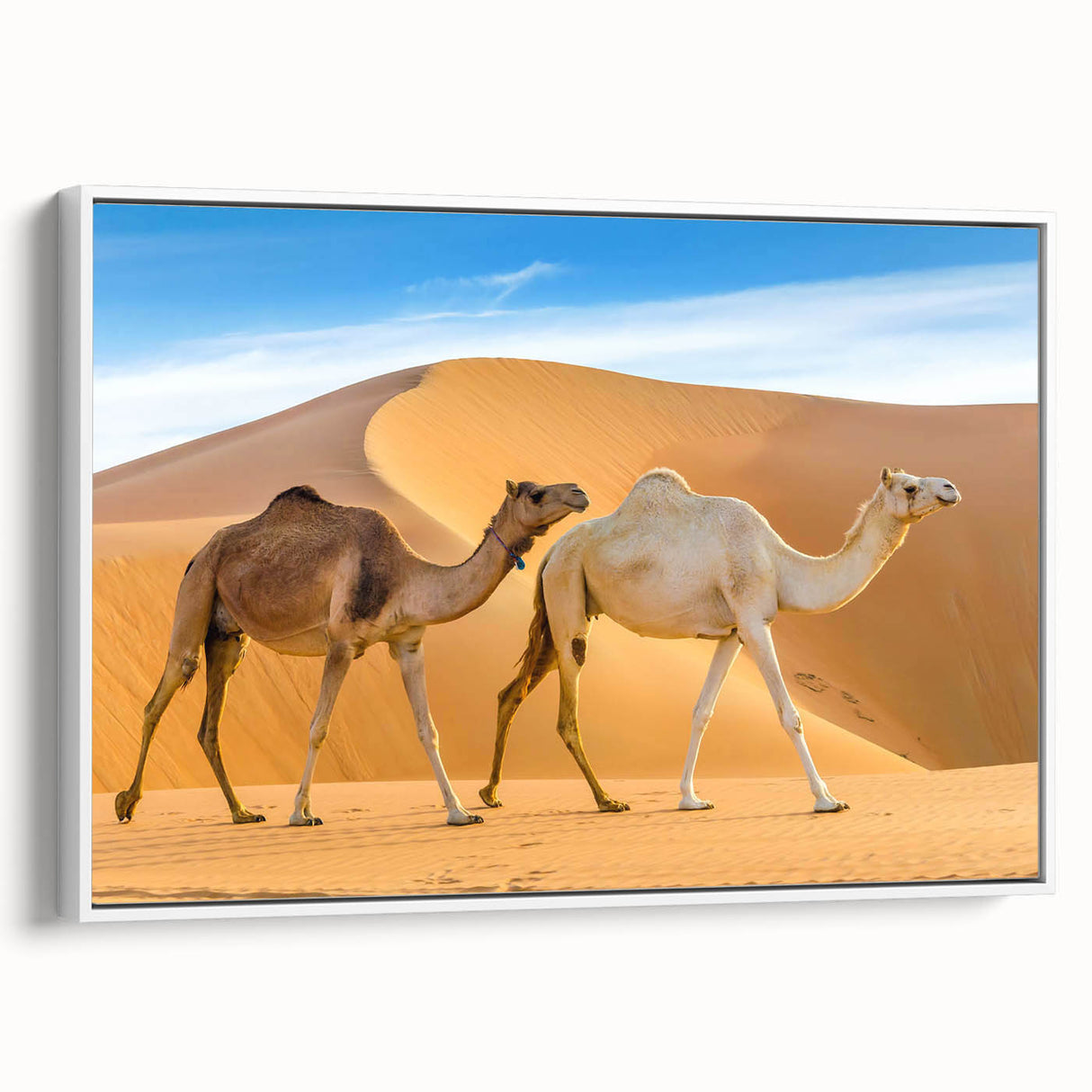 Framed canvas wall art depicting a side view of a camel, showcasing intricate details and earthy tones, perfect for adding a touch of wildlife decor to any space.