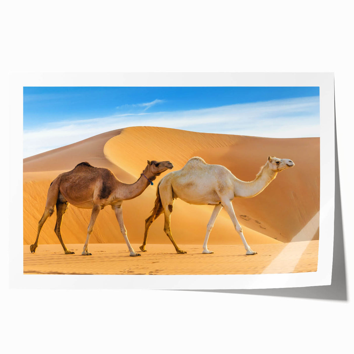 Colorful camel-themed wall art print showcasing intricate desert patterns and rich textures, ideal for adding a vibrant touch to home decor or animal-themed collections.