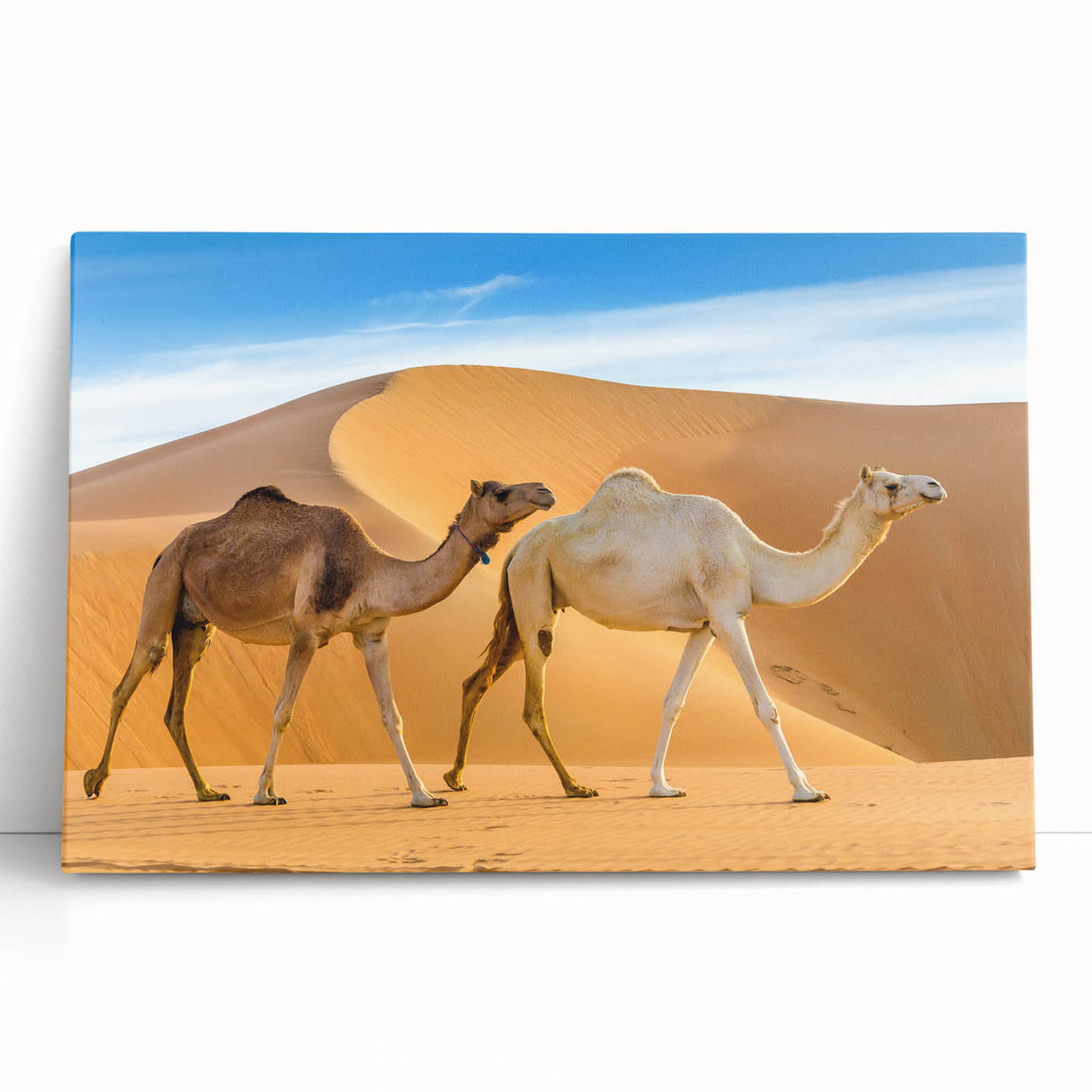 Vibrant stretched canvas wall art featuring a detailed camel design in a desert landscape, showcasing earthy tones and intricate textures, ideal for animal lovers.