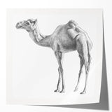 Stylish wall art featuring a vibrant camel design in an abstract style, showcasing earthy tones and intricate patterns, perfect for enhancing modern living spaces.