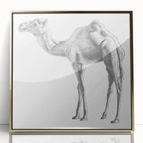 Framed wall art featuring a stunning gold-accented design of a camel, showcasing intricate details and textures, perfect for animal lovers and home decor enthusiasts.