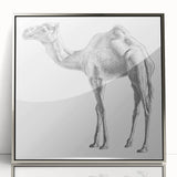 Framed wall art showcasing a silver-accented camel design from the "Animals: A Wild Life" collection, ideal for adding a touch of elegance to home decor.