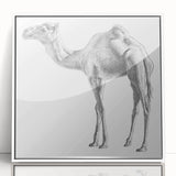 Framed acrylic wall art featuring a detailed camel design from the "Animals of the Wild" collection, set against a sleek white background, perfect for home decor.