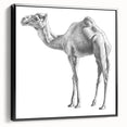 Framed wall art showcasing a side view of a black camel design, highlighting intricate details and textures, perfect for animal-themed decor.