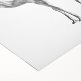 Colorful rolled canvas wall art showcasing a vibrant camel design, perfect for animal lovers and home decor enthusiasts. Ideal for adding a unique touch to any room.