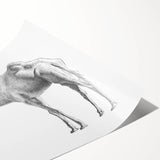 Camel wall art print showcasing a vibrant desert scene, featuring intricate details and warm color tones, perfect for enhancing home decor and adding an exotic touch.