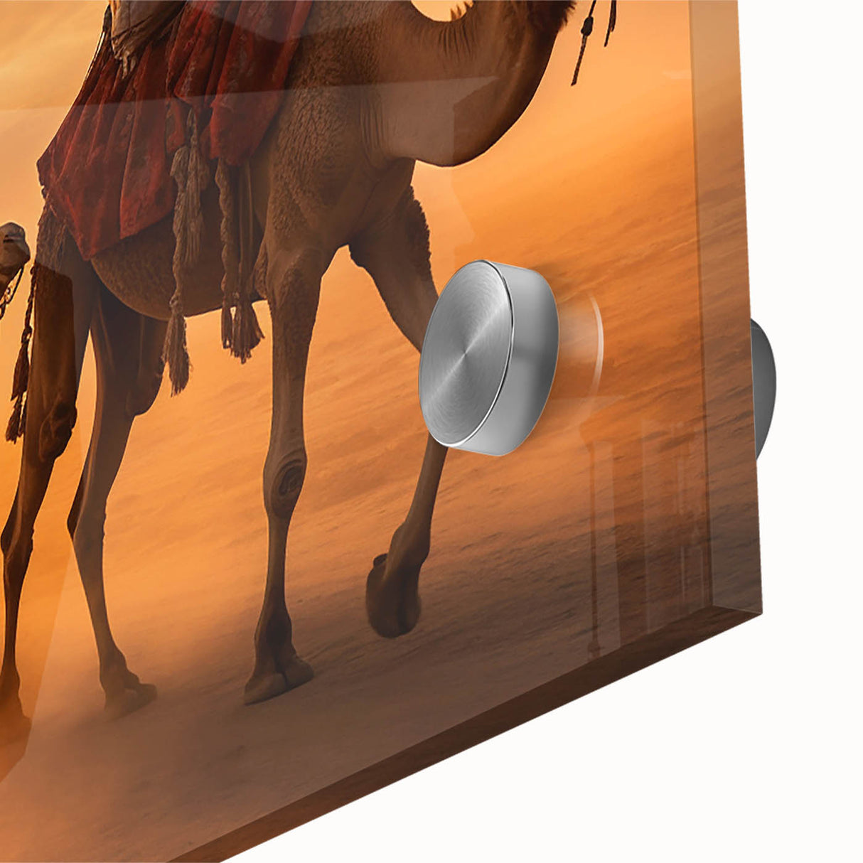 Close-up view of an acrylic glass wall art piece featuring a detailed design of a camel, highlighting its intricate textures and vibrant colors, perfect for animal lovers.