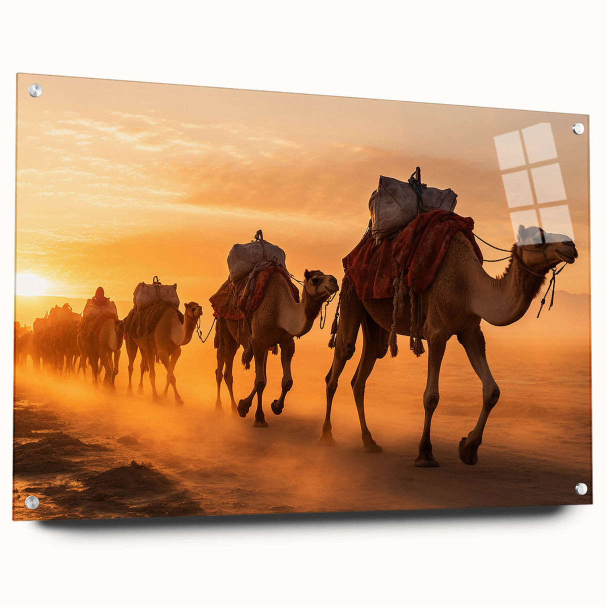 Acrylic glass wall art featuring a side view design of a camel in a desert landscape, showcasing vibrant colors and intricate details, perfect for animal lovers.