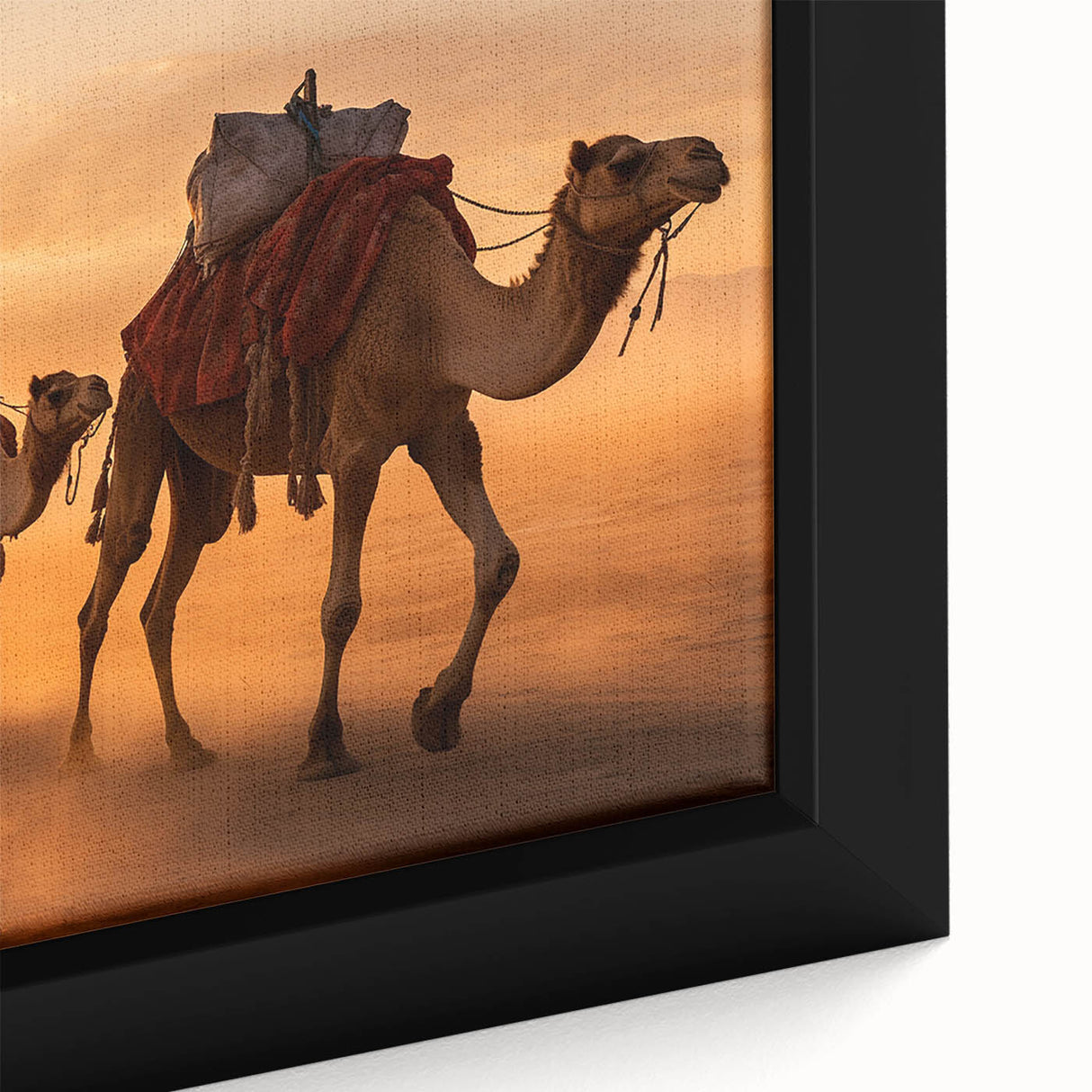 Close-up of a framed canvas featuring a detailed camel design, showcasing intricate textures and earthy colors, ideal for wildlife-themed home decor.