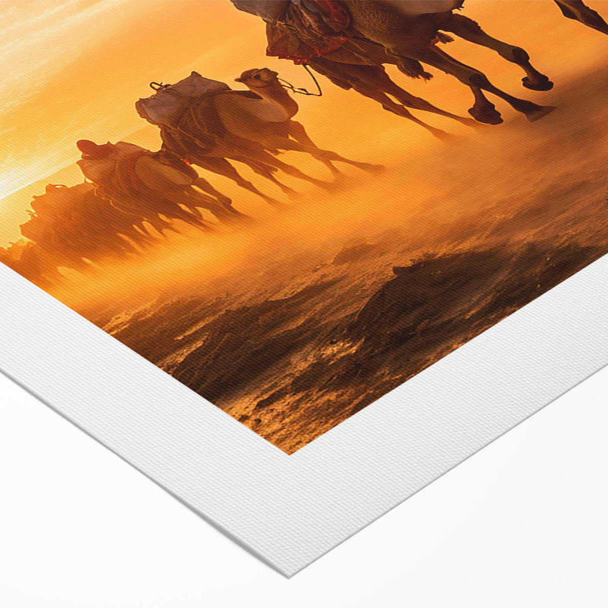 Colorful rolled canvas art featuring a striking camel design inspired by wildlife, showcasing intricate details and textures, perfect for home decor.
