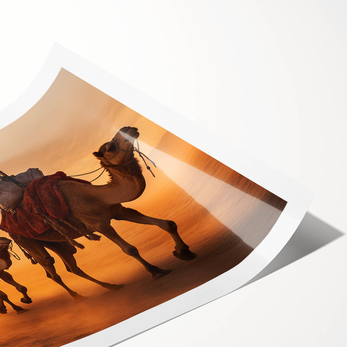 Rolled art print showcasing a detailed illustration of a camel in a vibrant desert landscape, perfect for enhancing home decor with a wild life theme.