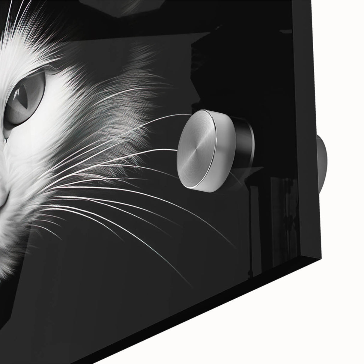Close-up of a vibrant acrylic glass wall art piece showcasing a detailed design of a wild cat, featuring bold colors and intricate textures, perfect for animal lovers.