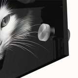 Close-up of a vibrant acrylic glass wall art piece showcasing a detailed design of a wild cat, featuring bold colors and intricate textures, perfect for animal lovers.
