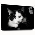 Acrylic glass wall art featuring a playful cat design from the Wild Life collection, displayed in a side view with decorative pins, perfect for animal lovers' decor.