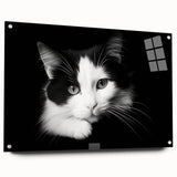 Acrylic glass wall art featuring a playful cat design from the Wild Life collection, displayed in a side view with decorative pins, perfect for animal lovers' decor.