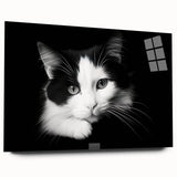 Acrylic glass wall art featuring a playful cat design from the 'Animals A Wild Life' collection, displayed in a side view, showcasing vibrant colors and intricate details, perfect for adding a whimsical touch to any room.