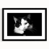 Framed wall art featuring a striking cat design from the "Animals A Wild Life" collection, presented with a sleek black frame and mat, ideal for enhancing modern decor.