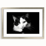 Framed wall art collection featuring a sleek silver frame and mat, showcasing a vibrant wildlife cat design, perfect for nature lovers’ home decor.