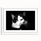Framed wall art featuring a whimsical cat design in a white mat, perfect for animal lovers and home decor. Ideal for adding a playful touch to any room.
