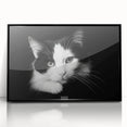 Framed wall art showcasing a wild cat design in vibrant colors, featuring a sleek black frame, ideal for animal lovers and home decor enthusiasts. Perfect for adding a touch of nature-inspired elegance to any space.