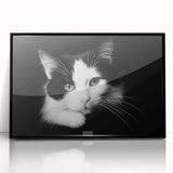 Framed wall art showcasing a wild cat design in vibrant colors, featuring a sleek black frame, ideal for animal lovers and home decor enthusiasts. Perfect for adding a touch of nature-inspired elegance to any space.