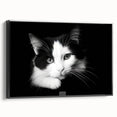 Framed wall art featuring a wild cat design on canvas, showcasing vibrant colors and intricate details, set against a sleek black frame for a modern touch.
