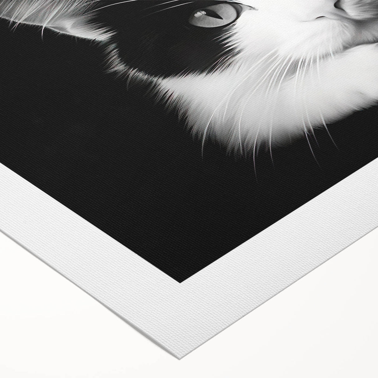 Colorful rolled canvas featuring a whimsical cat design inspired by wildlife, showcasing intricate patterns and vibrant colors, perfect for animal lovers' home decor.