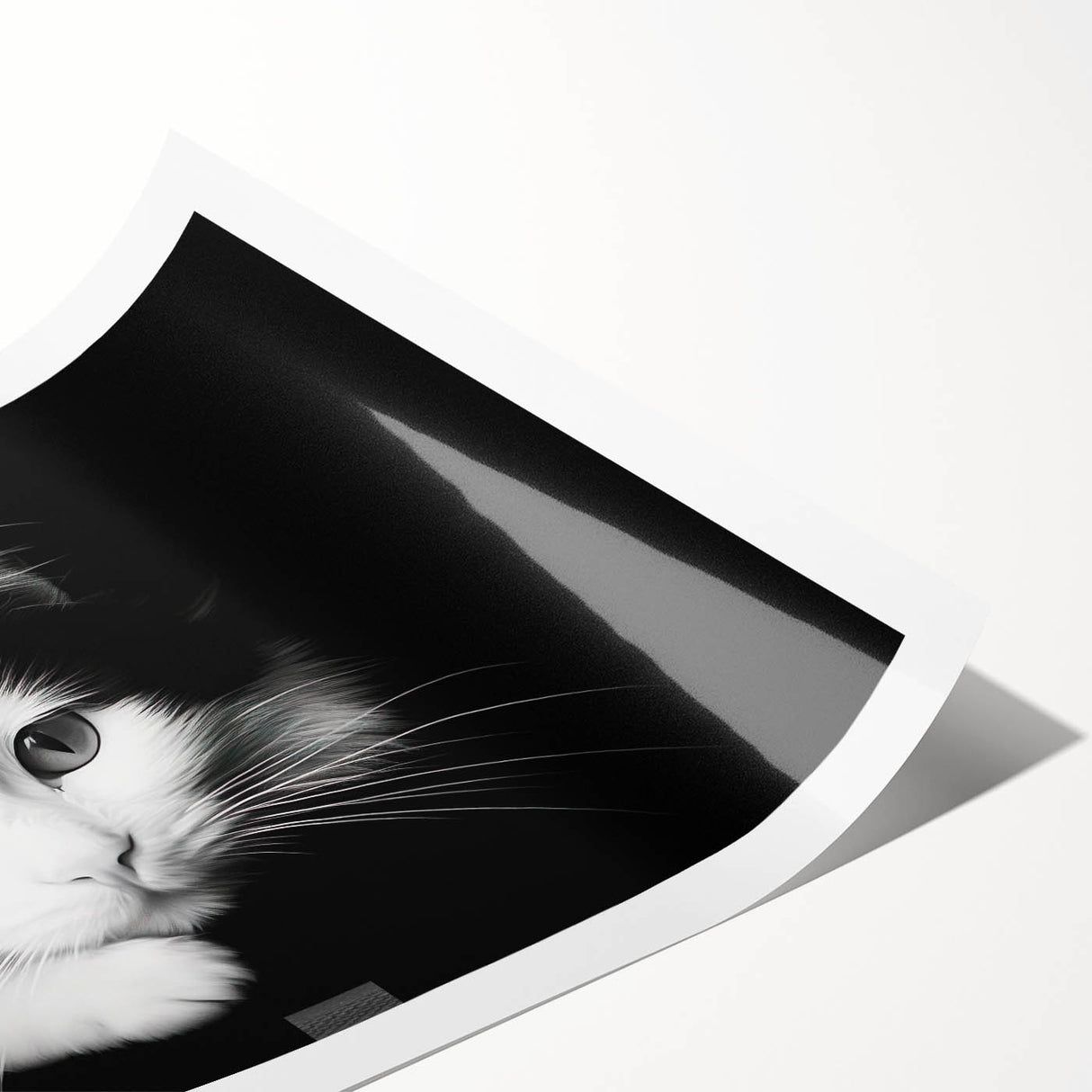 Colorful wall art featuring a whimsical cat design, showcasing vibrant hues and intricate details, ideal for animal lovers and modern decor enthusiasts.