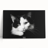 Colorful cat-themed wall art on stretched canvas, showcasing playful feline designs in vibrant hues, perfect for animal lovers' home decor.