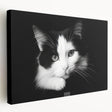 Colorful stretched canvas wall art displaying a whimsical cat design, showcasing vibrant hues and intricate details, perfect for animal lovers and home decor enthusiasts.