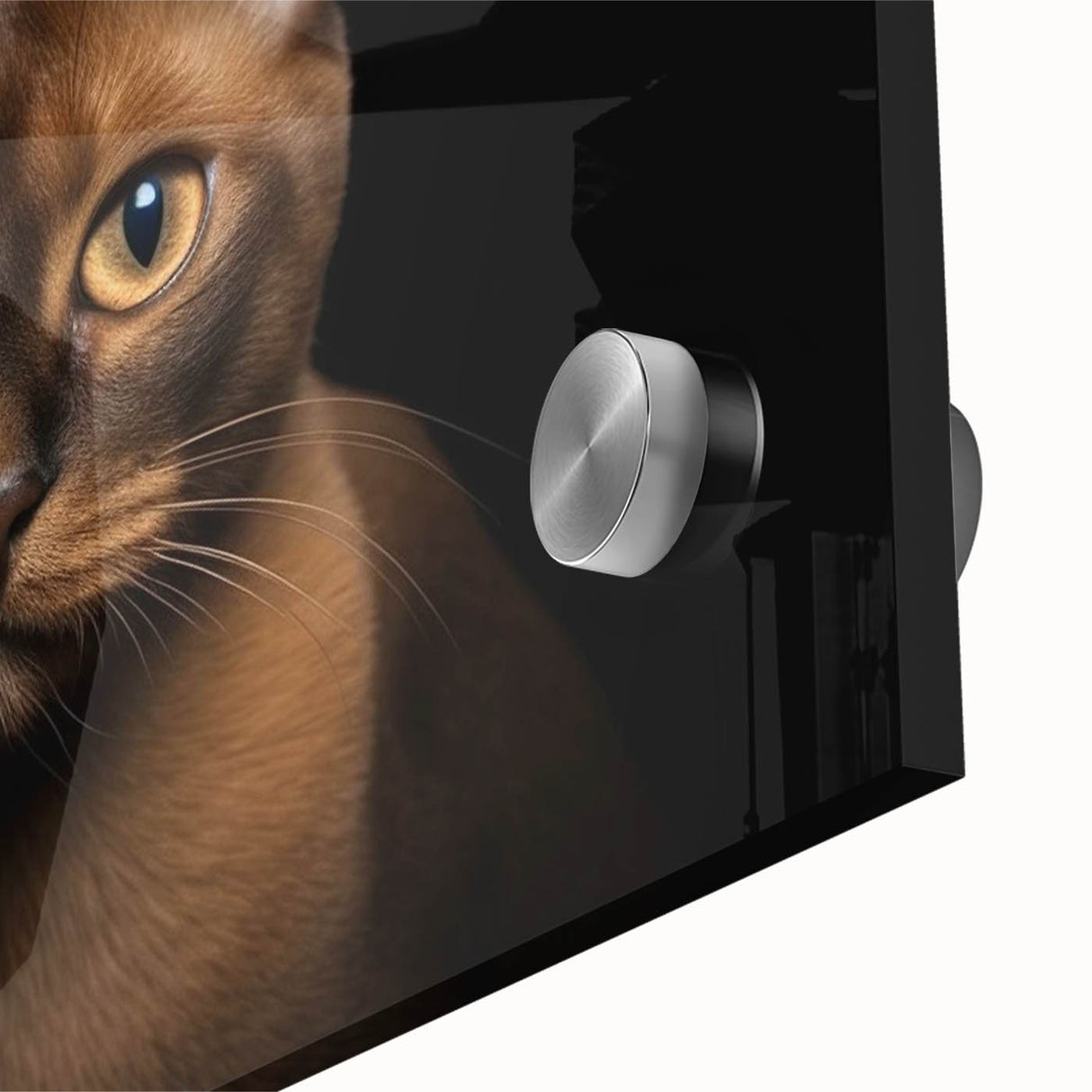 Close-up of a vibrant acrylic wall art piece showcasing a wild cat design, highlighting intricate details and bold colors, perfect for animal lovers and home decor.