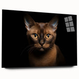 Acrylic glass wall art featuring a side view of a playful cat design, showcasing vibrant colors and intricate details, ideal for animal lovers and home decor.