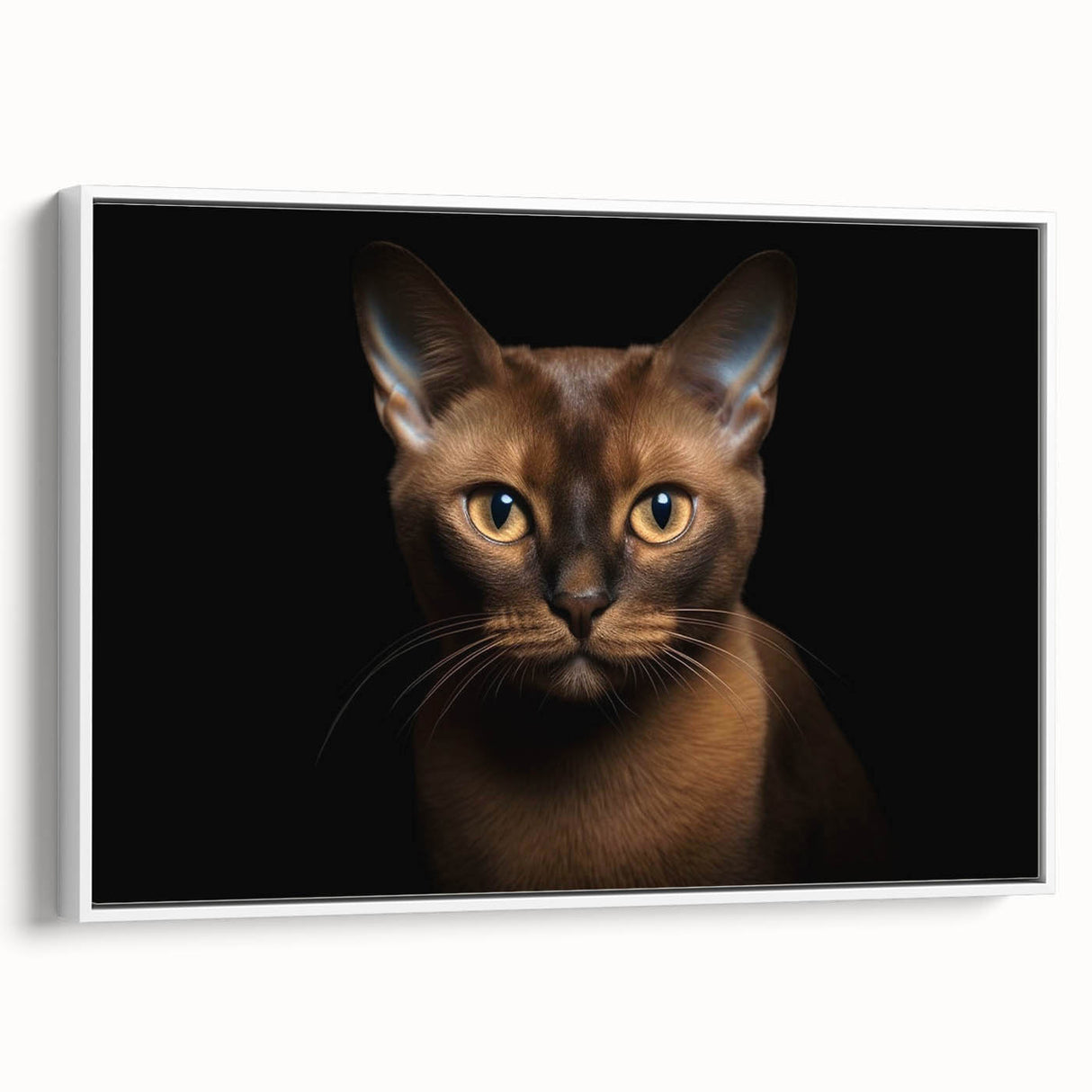 Framed canvas wall art featuring a whimsical cat design in a white frame, showcasing vibrant colors and playful details, perfect for animal lovers and home decor.