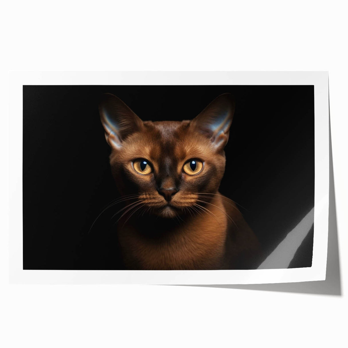 Vibrant rolled print showcasing a whimsical cat design in a wild-life theme, ideal for animal lovers and home decor enthusiasts, packaged securely for delivery.