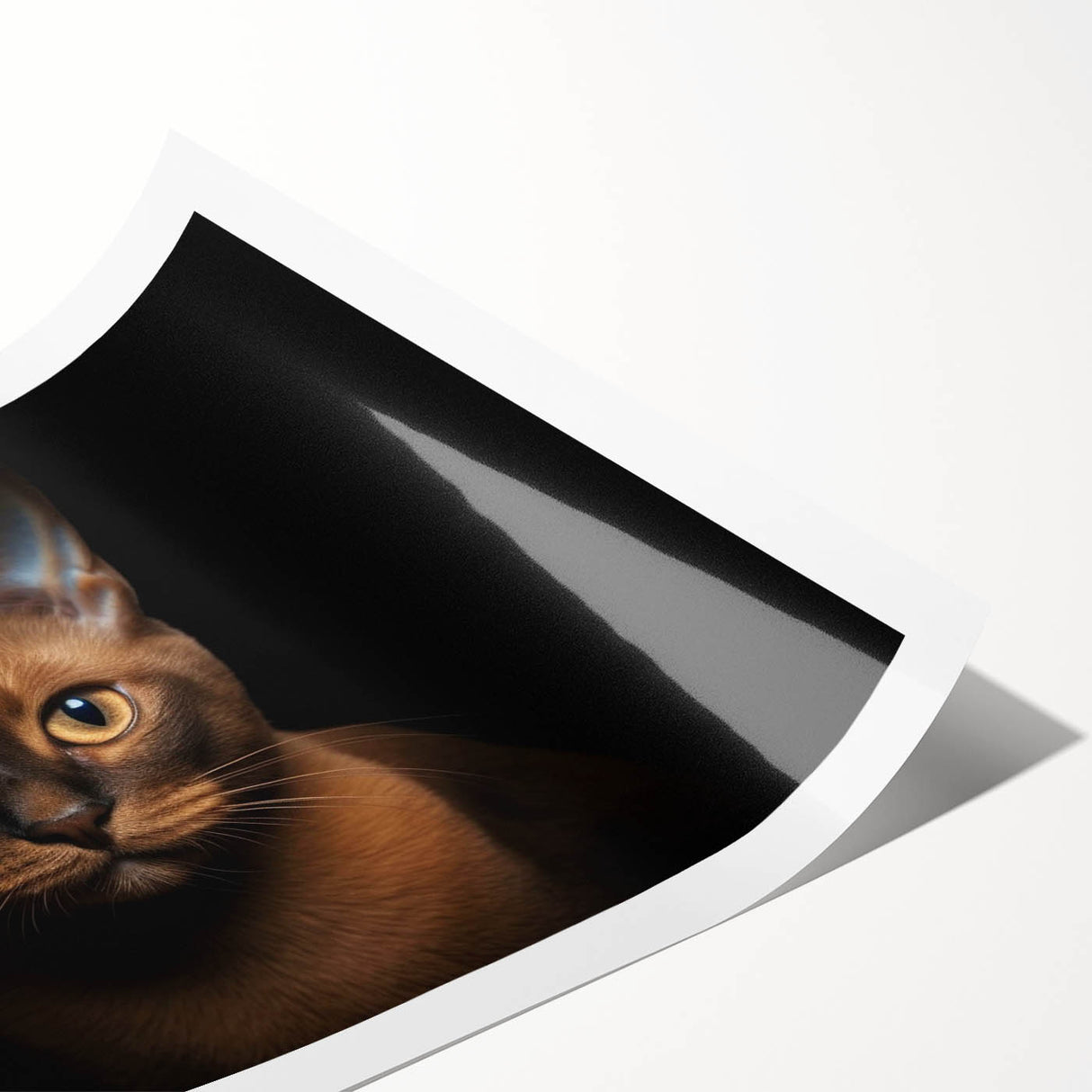 Rolled print of a whimsical cat design featuring vibrant colors and intricate details, ideal for animal lovers and home decor, packaged securely in a cardboard tube.