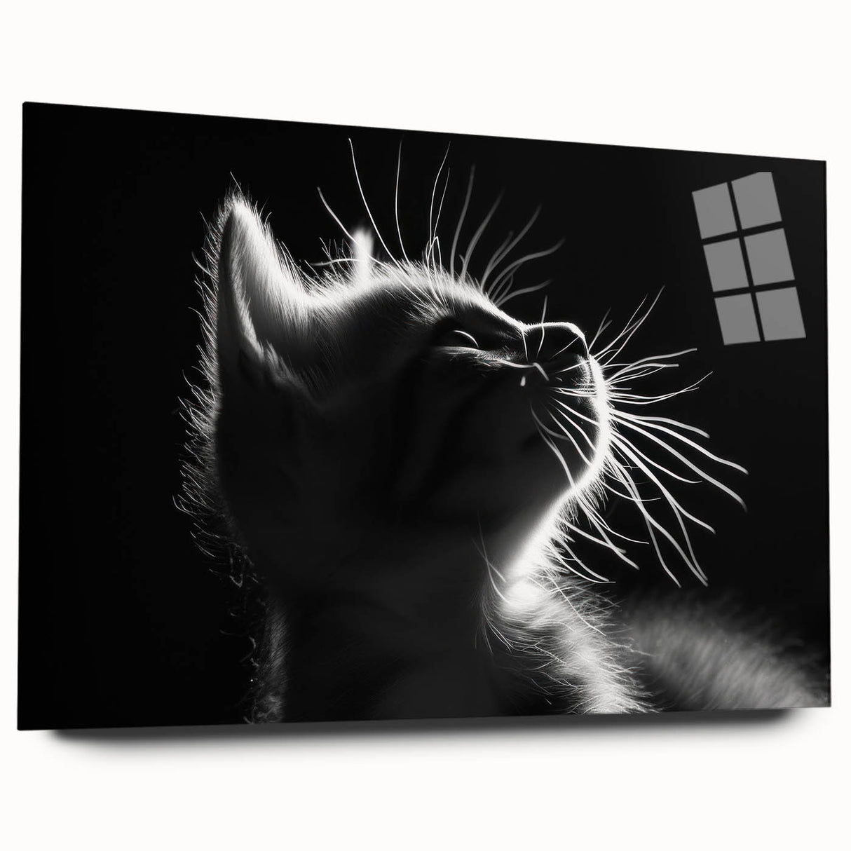 Acrylic wall art collection featuring a colorful cat design, showcasing vibrant hues and intricate details, displayed from the side to highlight its artistic depth.