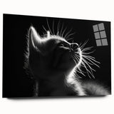 Acrylic wall art collection featuring a colorful cat design, showcasing vibrant hues and intricate details, displayed from the side to highlight its artistic depth.