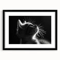 Black-framed wall art featuring a whimsical cat design from the "Animals - A Wild Life" collection, showcasing vibrant colors and playful details, perfect for animal lovers and home decor enthusiasts.