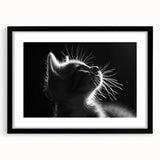 Black-framed wall art featuring a whimsical cat design from the "Animals - A Wild Life" collection, showcasing vibrant colors and playful details, perfect for animal lovers and home decor enthusiasts.