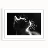 Framed wall art featuring a whimsical cat design in a white mat, showcasing vibrant colors and artistic details, ideal for animal lovers' home decor.