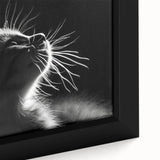 Close-up of framed wall art featuring a wild cat design on canvas, showcasing vibrant colors and intricate details. Perfect for animal lovers and contemporary decor.