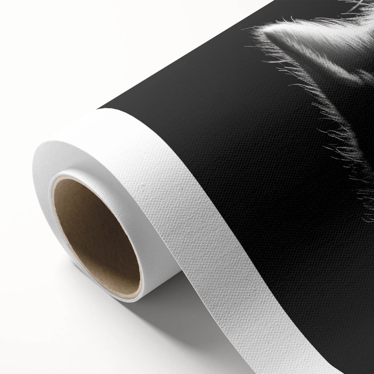 Wildlife-themed rolled canvas featuring a vibrant cat design, showcasing intricate details and colors, perfect for animal lovers and home decor enthusiasts.