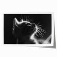 Rolled print showcasing a vibrant, artistic depiction of various wild cats, featuring intricate details and bold colors, ideal for nature enthusiasts' wall decor.