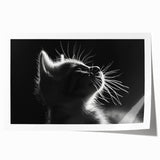 Rolled print showcasing a vibrant, artistic depiction of various wild cats, featuring intricate details and bold colors, ideal for nature enthusiasts' wall decor.