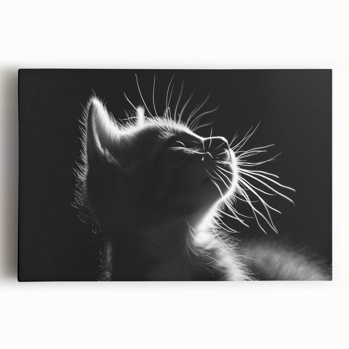 Colorful canvas wall art depicting a playful cat design, showcasing vibrant hues and a modern aesthetic, ideal for animal lovers and home decor enthusiasts.