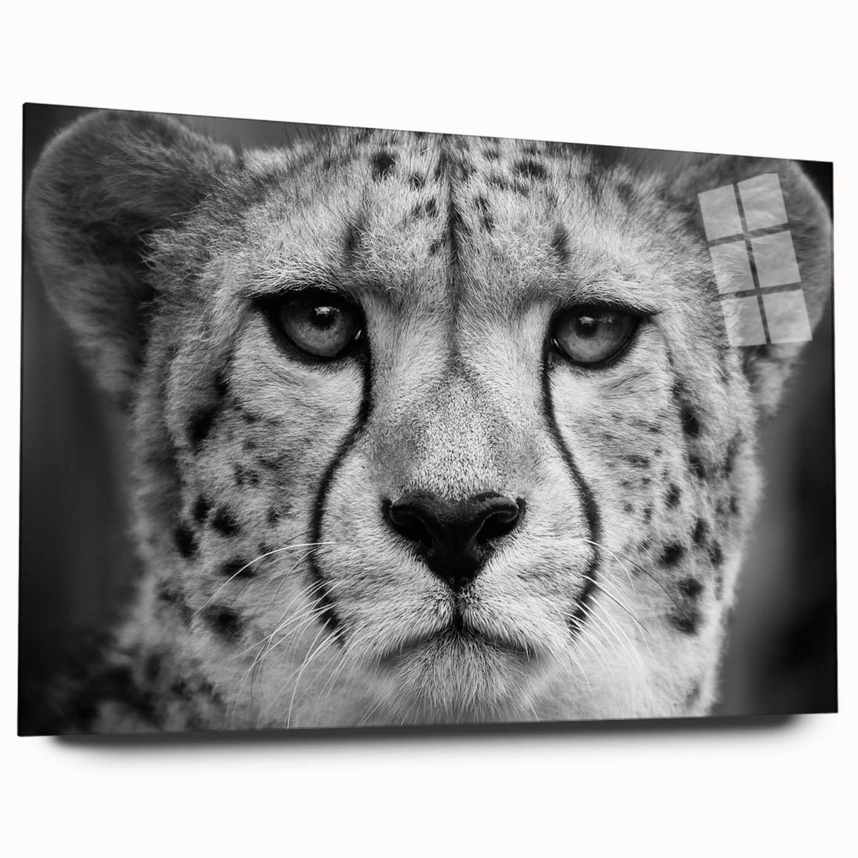Side view of a sleek cheetah wall art design displayed on acrylic glass, featuring vibrant colors and intricate details, perfect for animal lovers and modern decor.